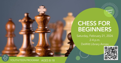 picture of chess pieces