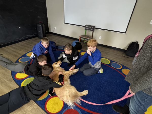 A group of boys petting a golden retriever on a carpet.