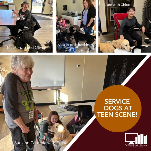 a collage of 4 pictures showing teens petting two dogs