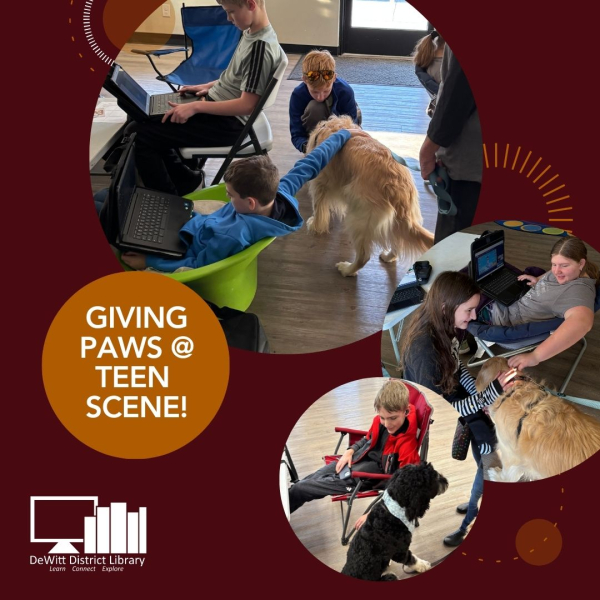 A collage of three pictures showing teens petting two different dogs.
