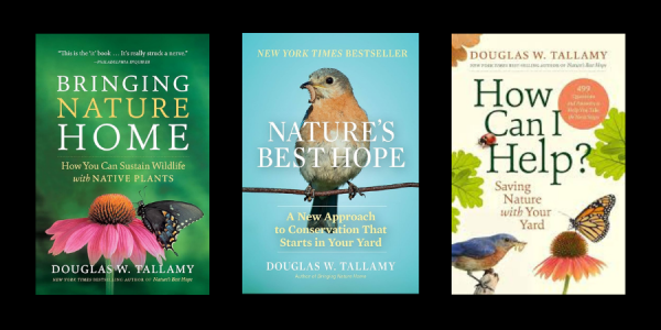Native Plant Book Recommendations by Tallamy