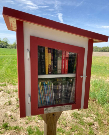 Little Free Library filled with books