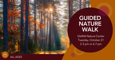 DeWitt Nature Walk